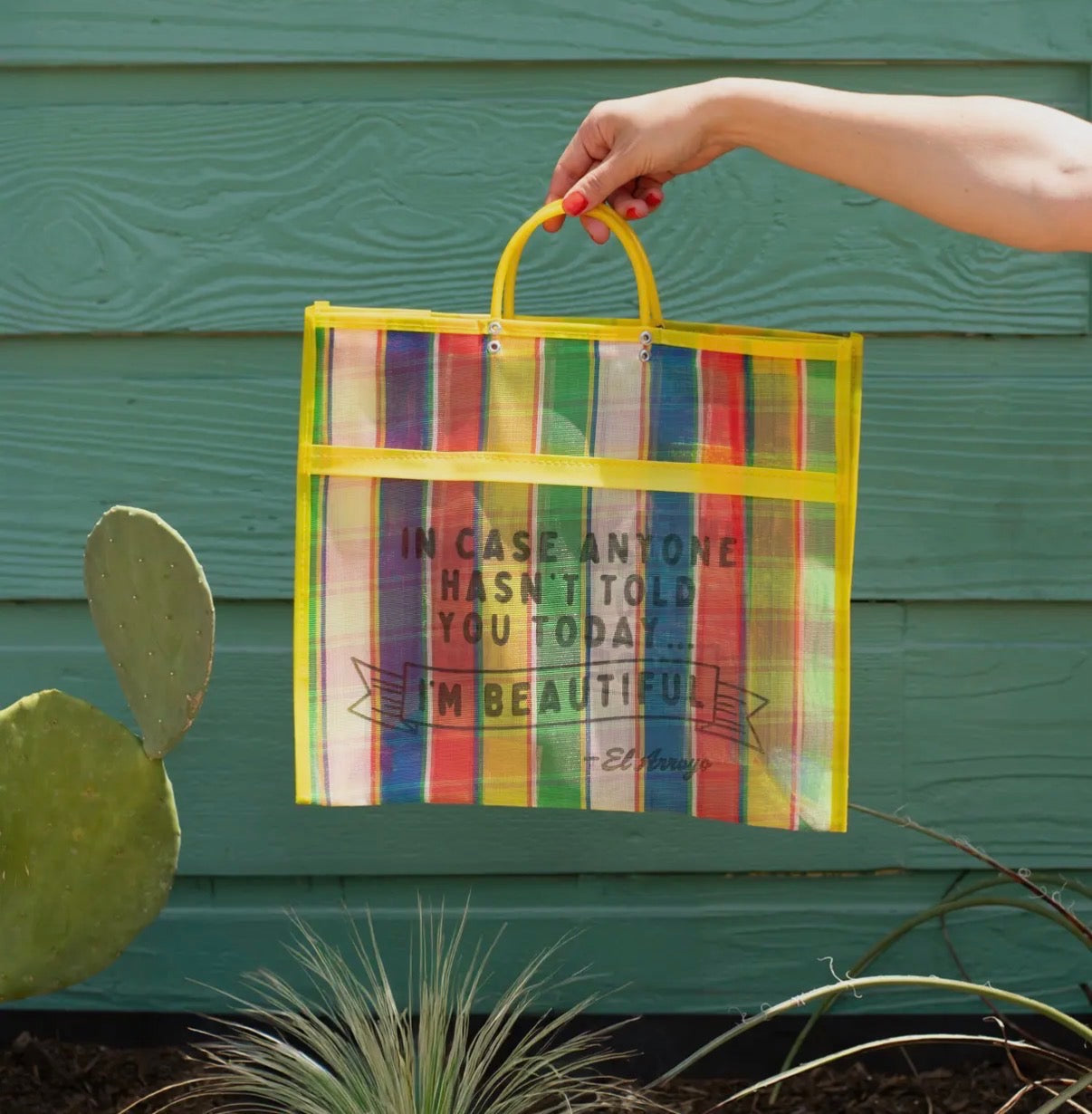 El Arroyo Tote Bag