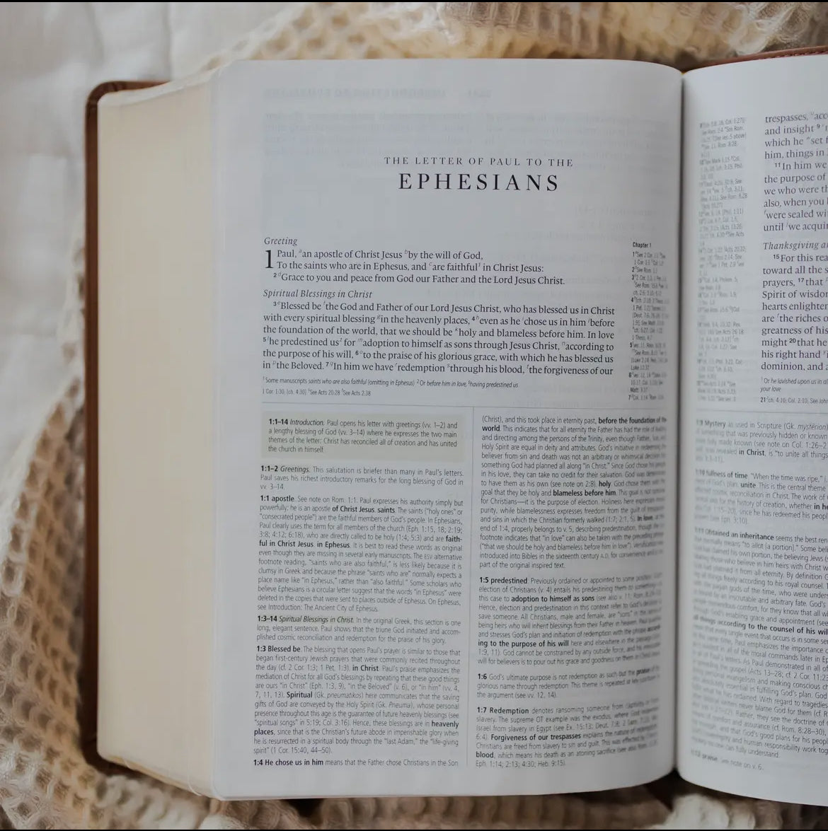 The Word Of God Study Bible
