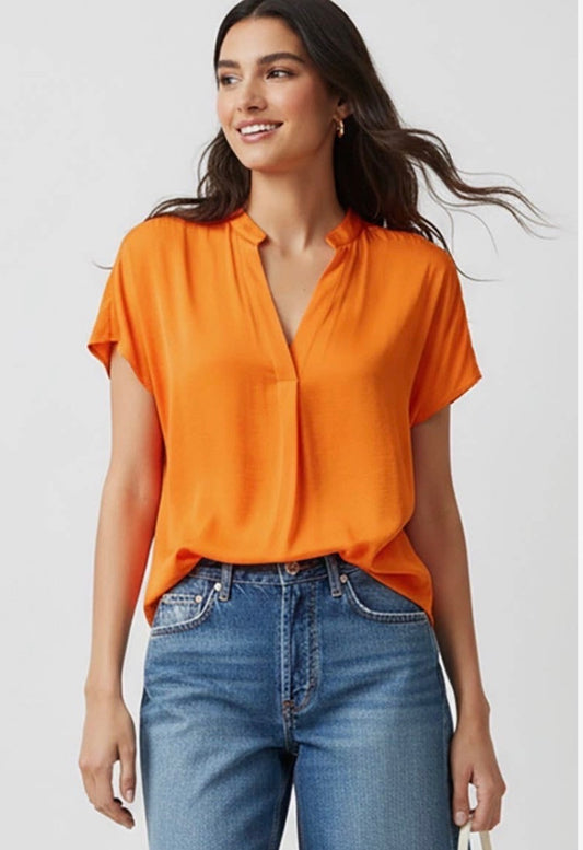 Bright Colored V Neck Blouse