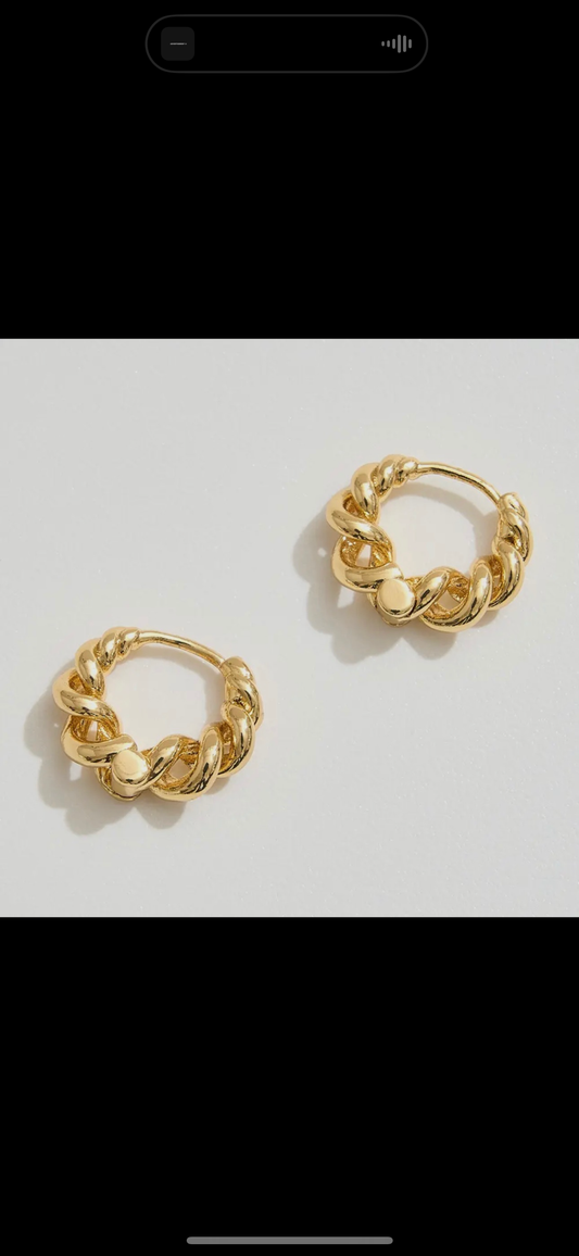 Gold Hoop Earrings
