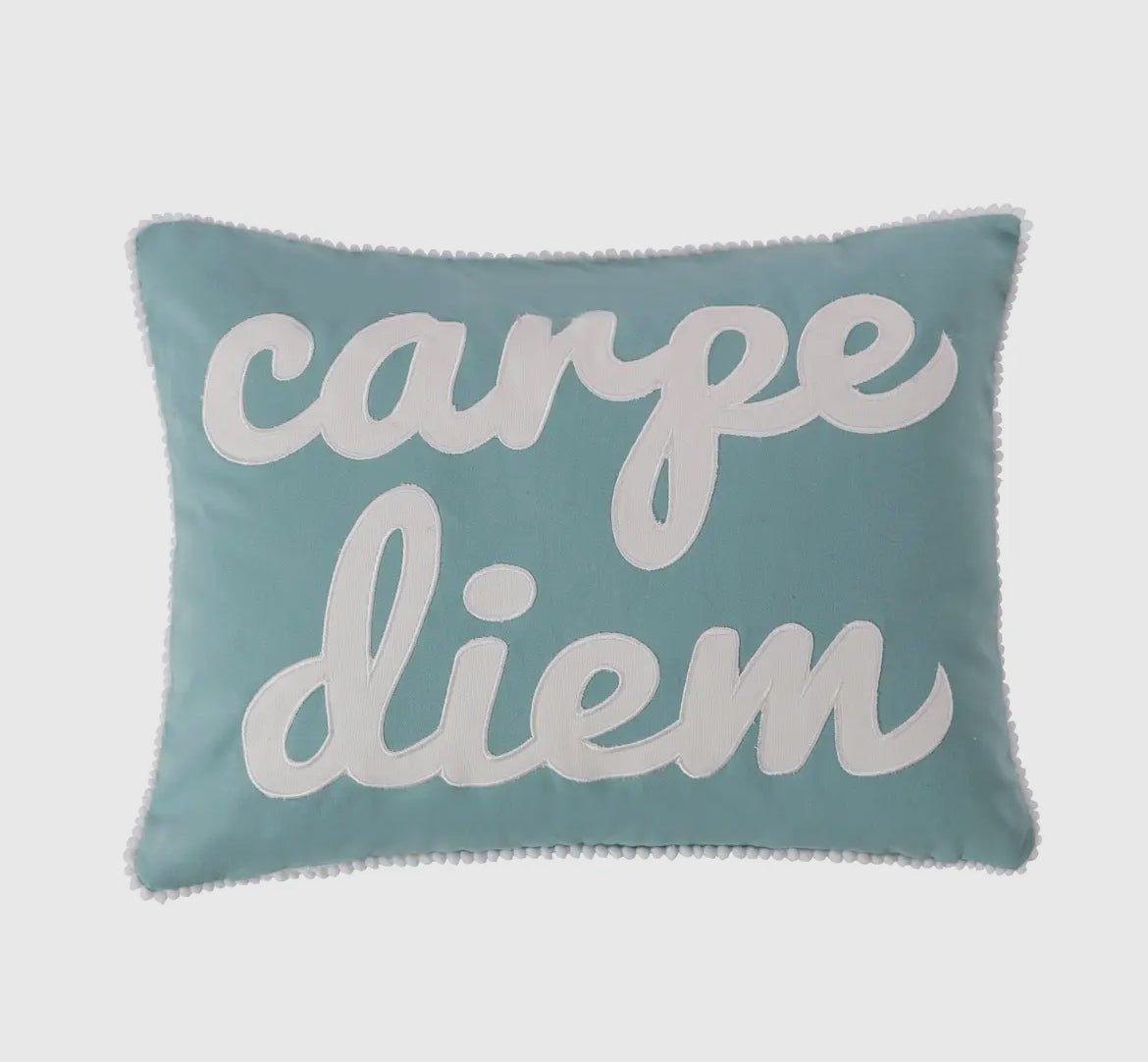 Carpe Diem Pillow