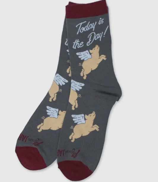 Today's The Day pig socks