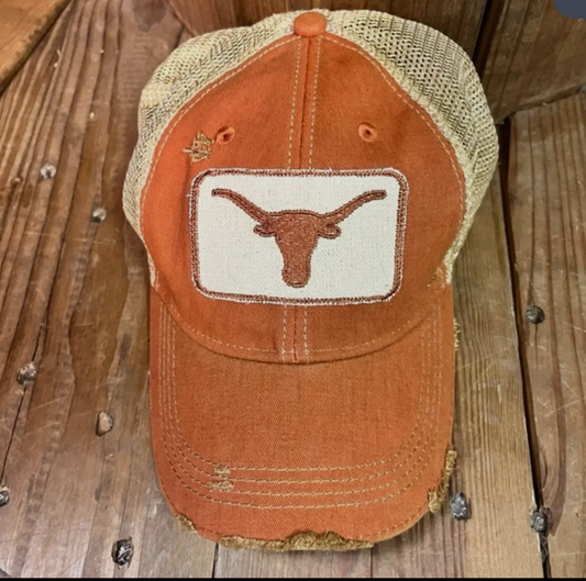 Longhorn hat