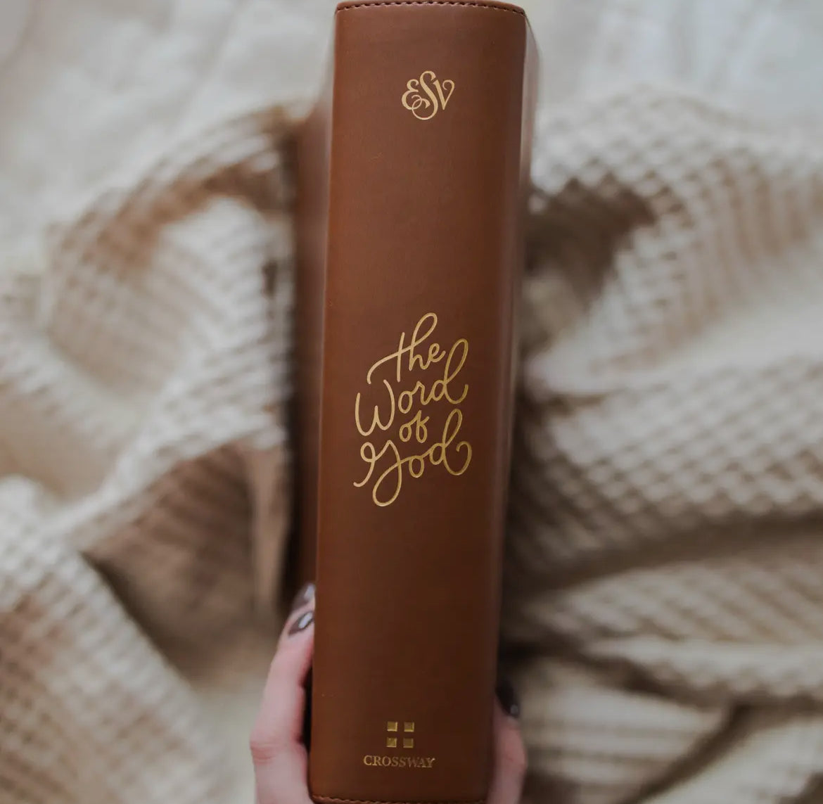 The Word Of God Study Bible