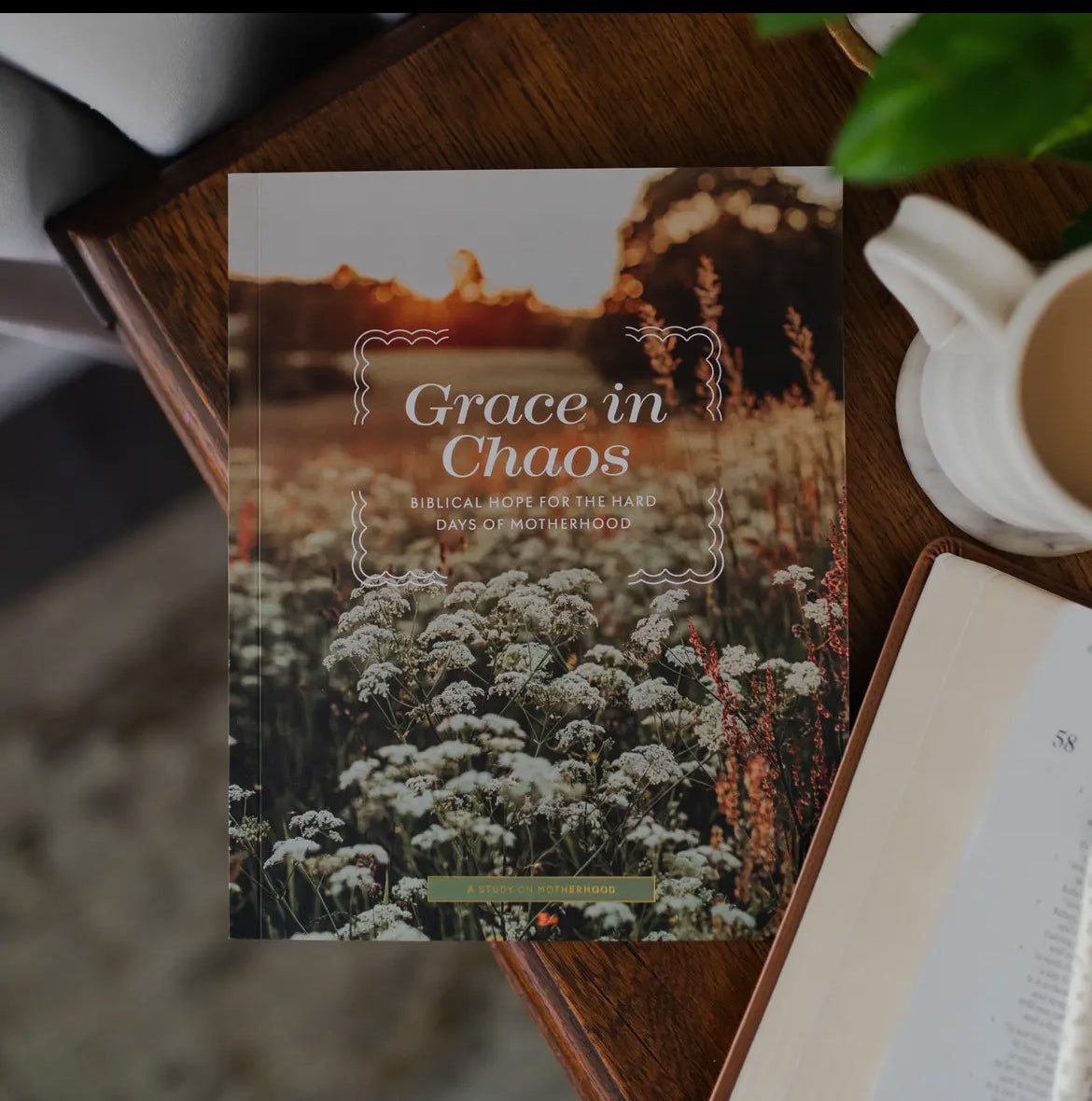 Grace In Chaos Study On Motherhood