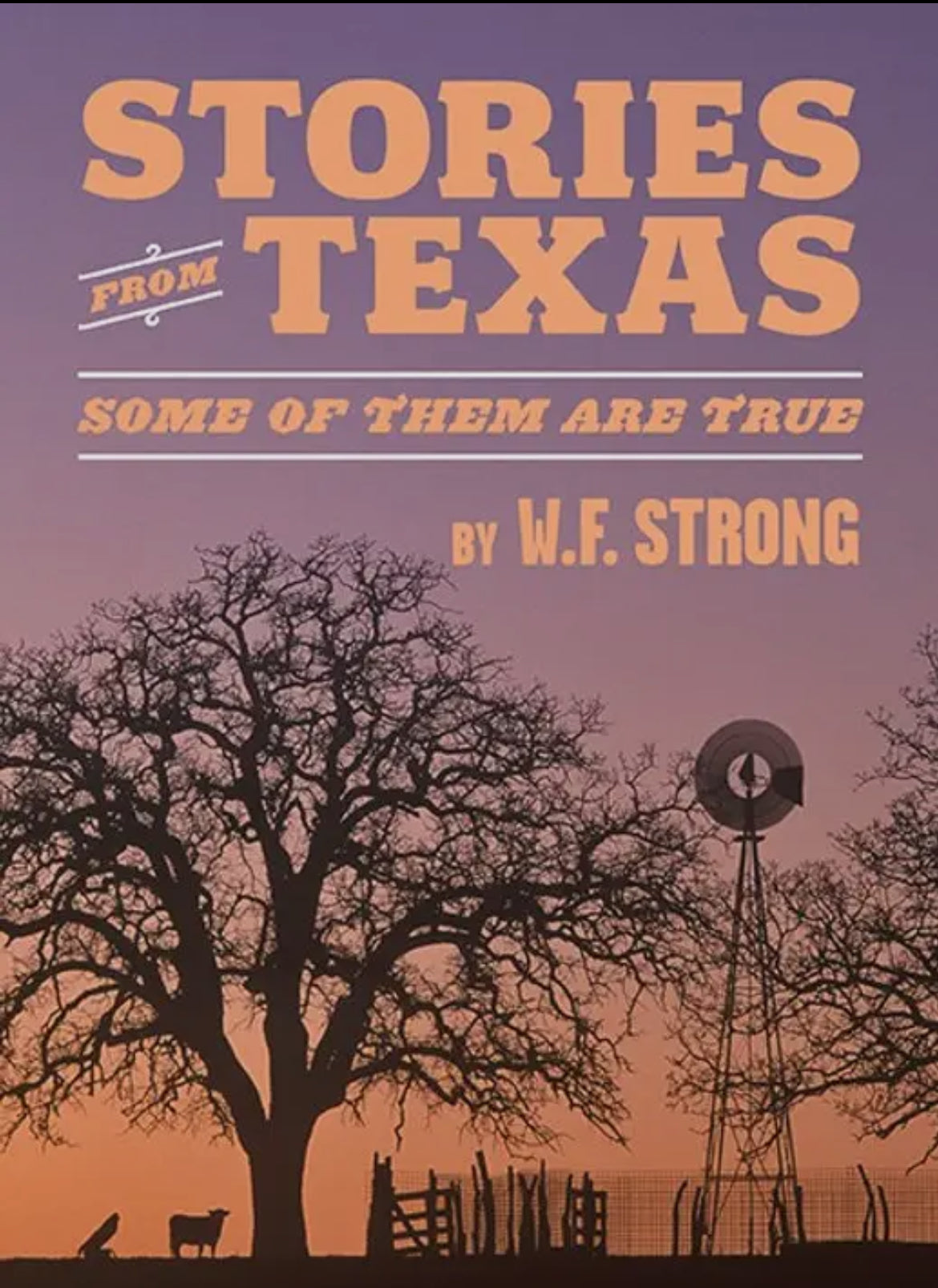 Stories From Texas Book