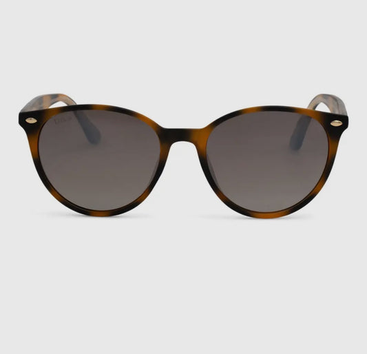 Asher Shell DAX Sunglasses