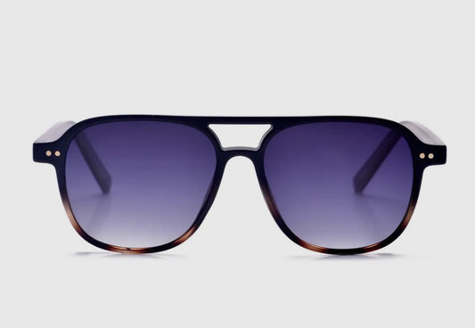 Briggs DAX Sunglasses