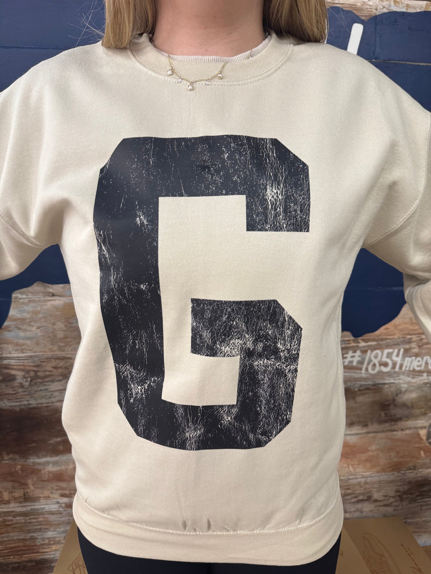 Hornet Sweatshirt with Sleeve Detailing